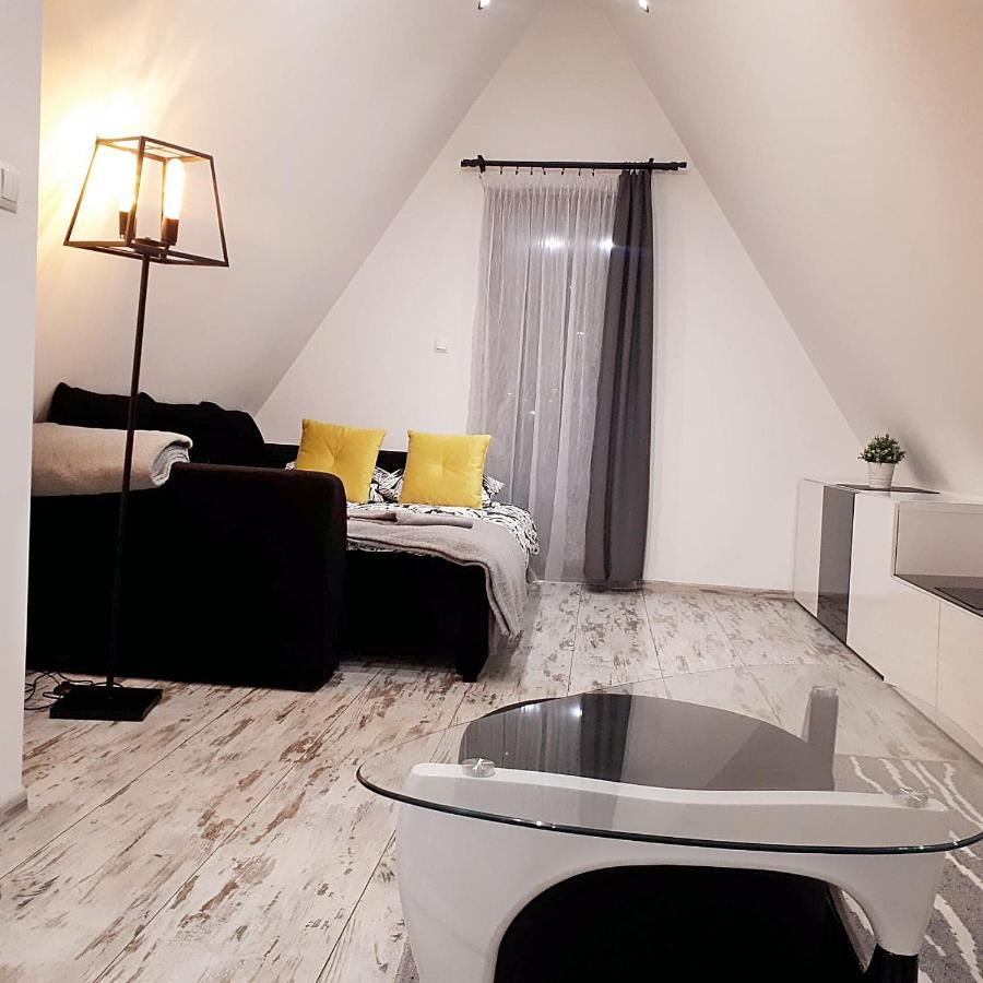 ポロニンApartament Strych Na Polanieアパートメント エクステリア 写真