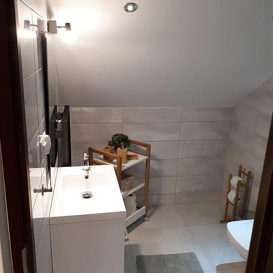 ポロニンApartament Strych Na Polanieアパートメント エクステリア 写真