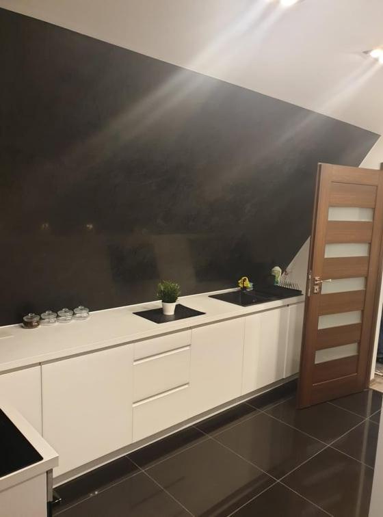 ポロニンApartament Strych Na Polanieアパートメント エクステリア 写真